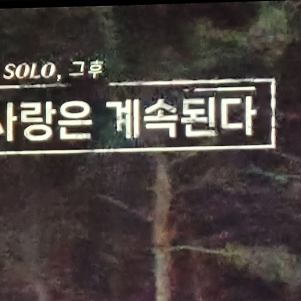 순팝