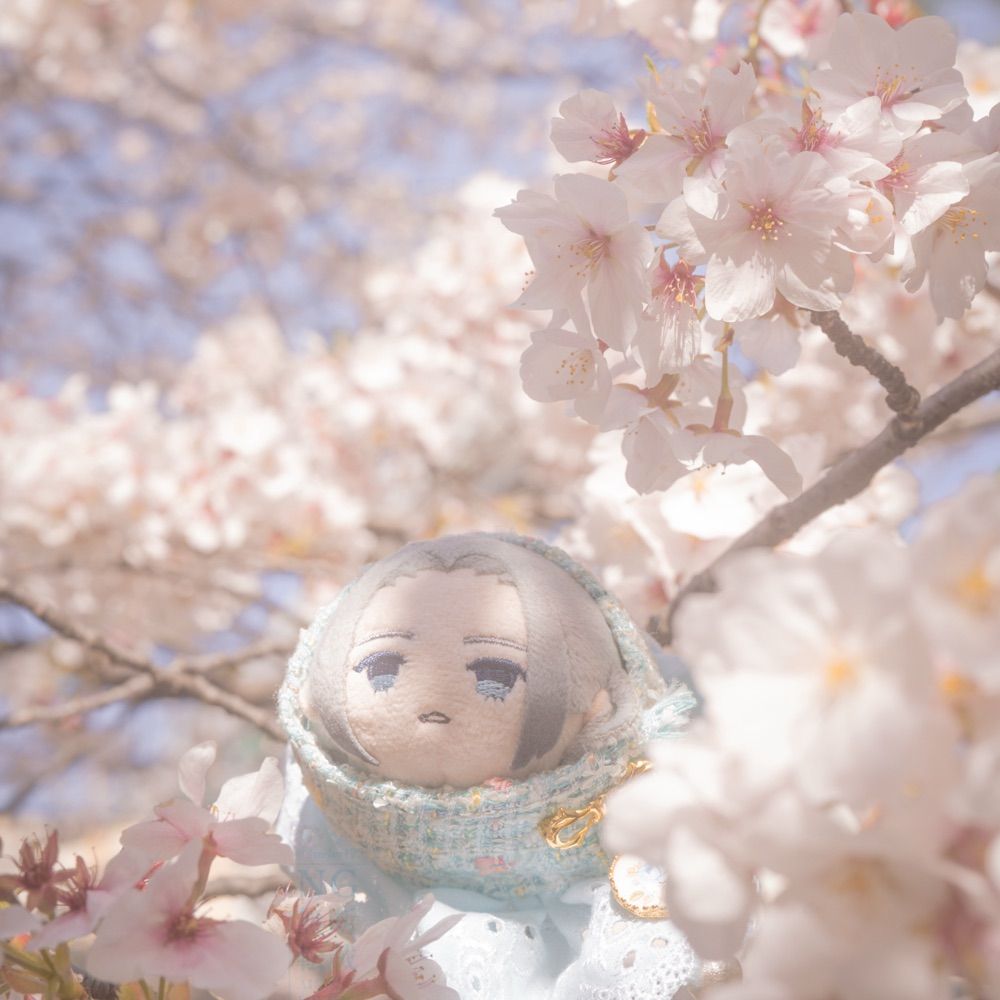 よも