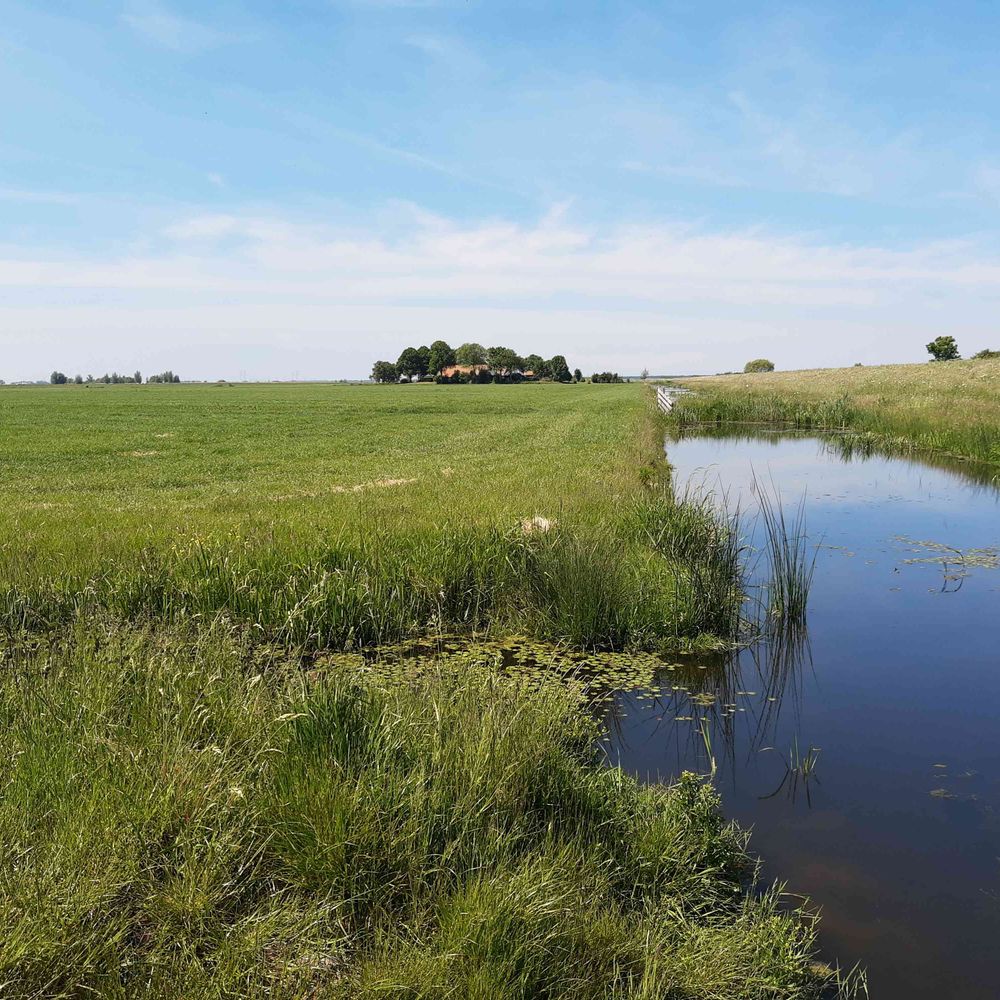 Gebiedscoöperatie IJsseldelta 