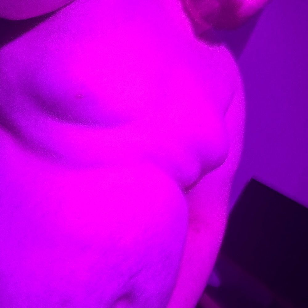 Zeddbear 