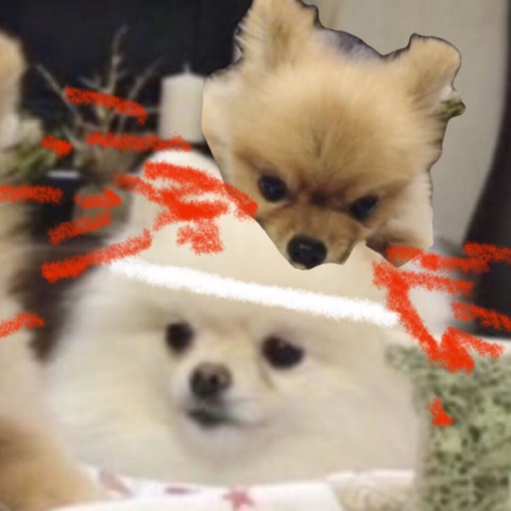 Nori
