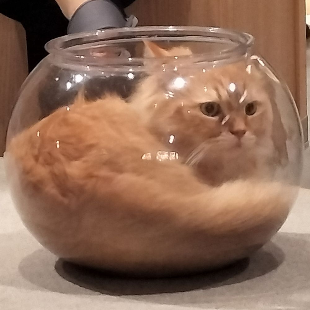 ちき
