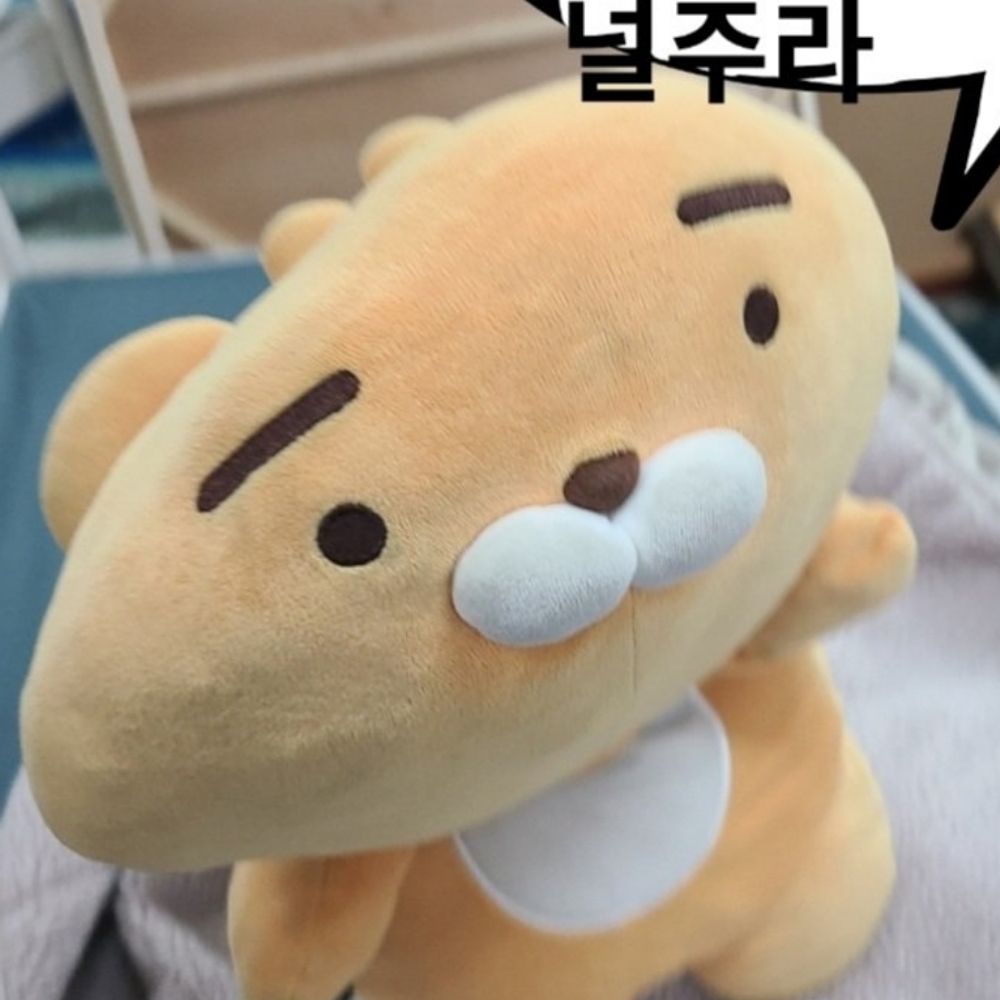 묘채