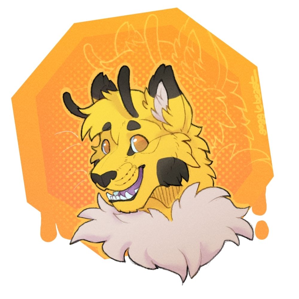 Honeycomb ☆ Opossum Camper