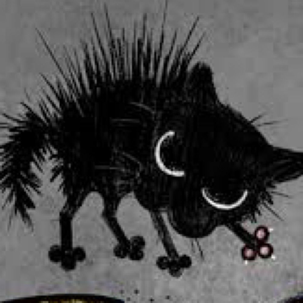 Kitty Bull