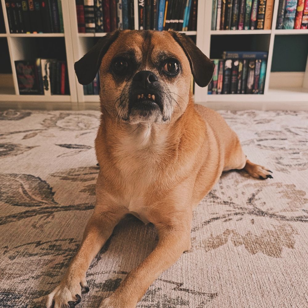 Bluebell | BloobsReads