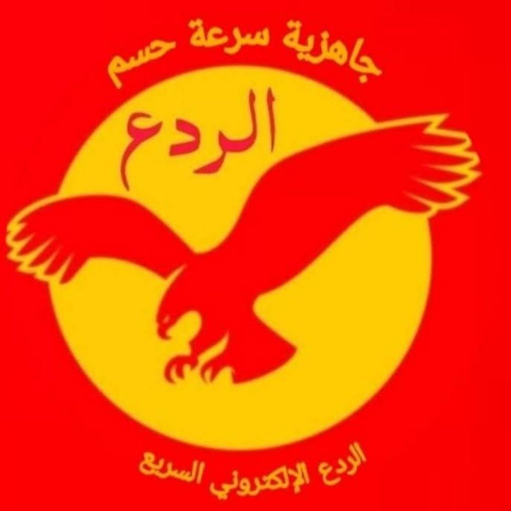 الردع الإلكتروني السريع 🦅