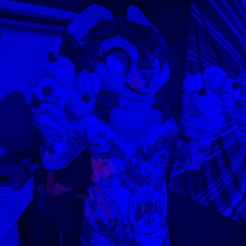 SereyKitty