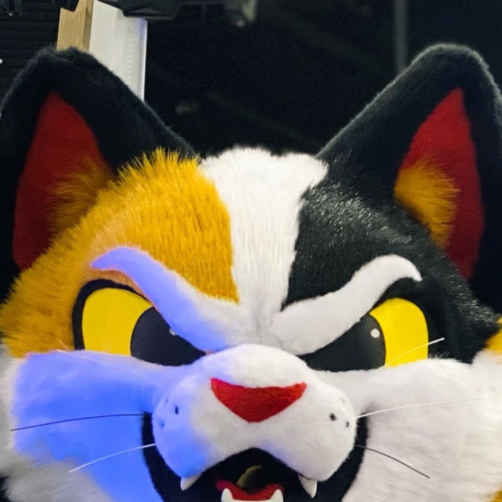 Koi is a Kat