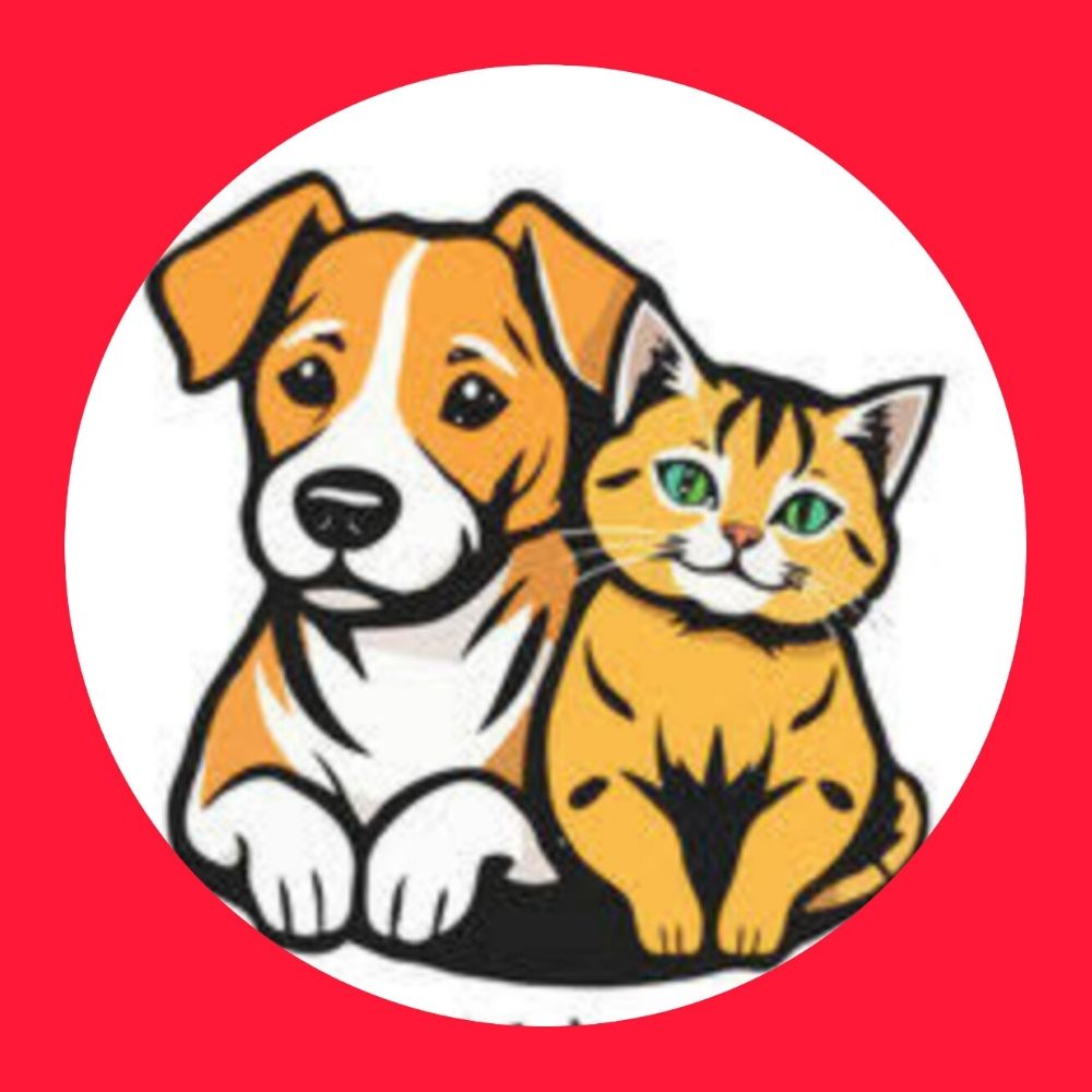 Dog & Cat
