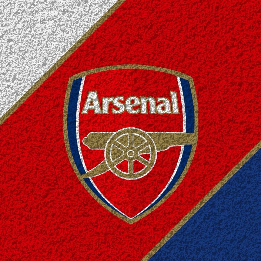 Arsenal Fans