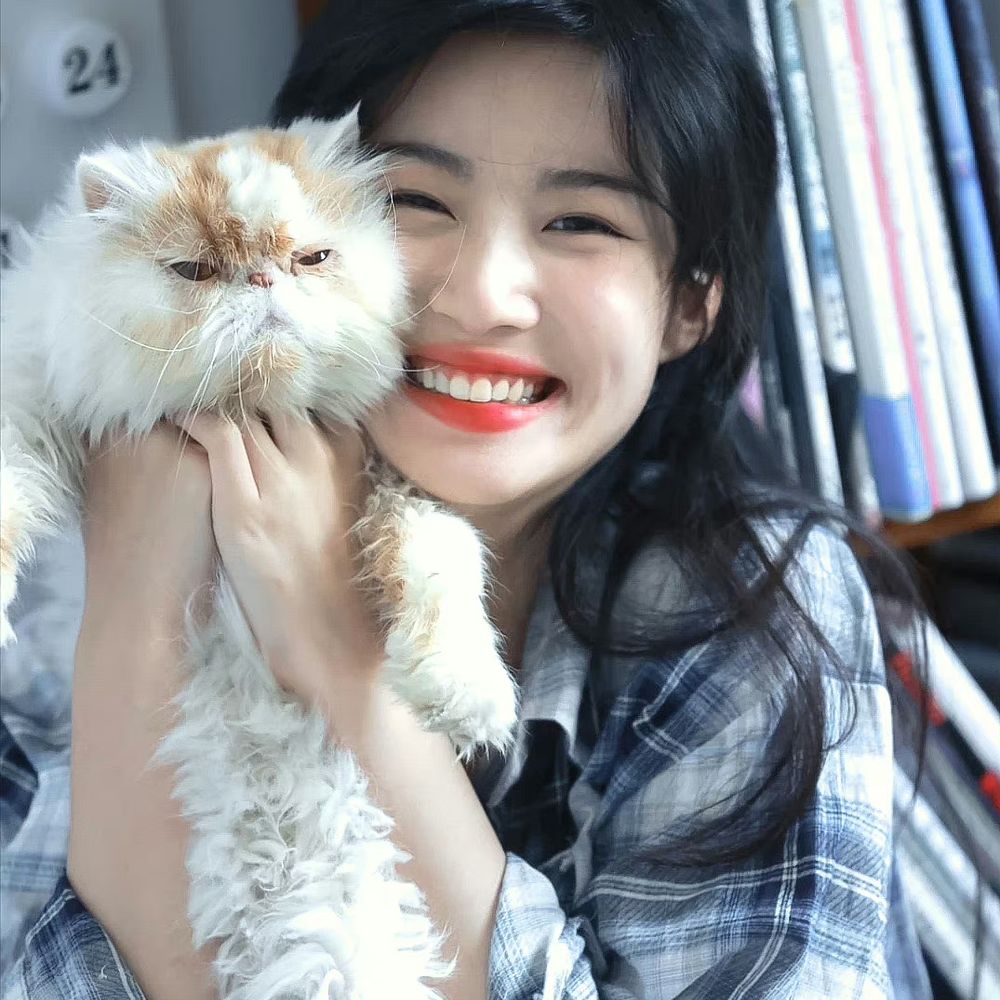 티피
