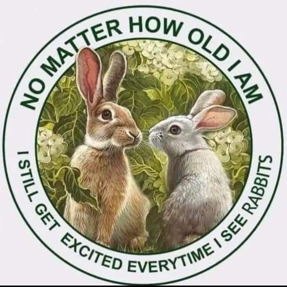 Krax 🐰🐇