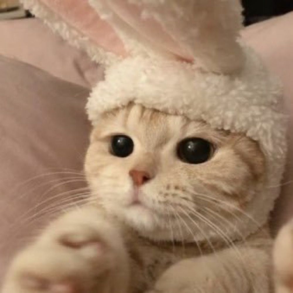 재윤