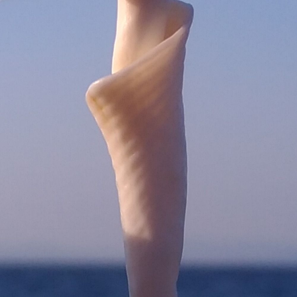純
