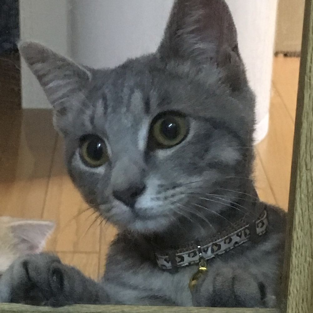 ゆん太郎