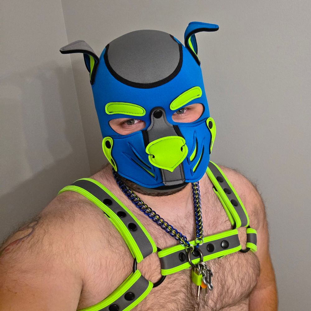Buster Barx