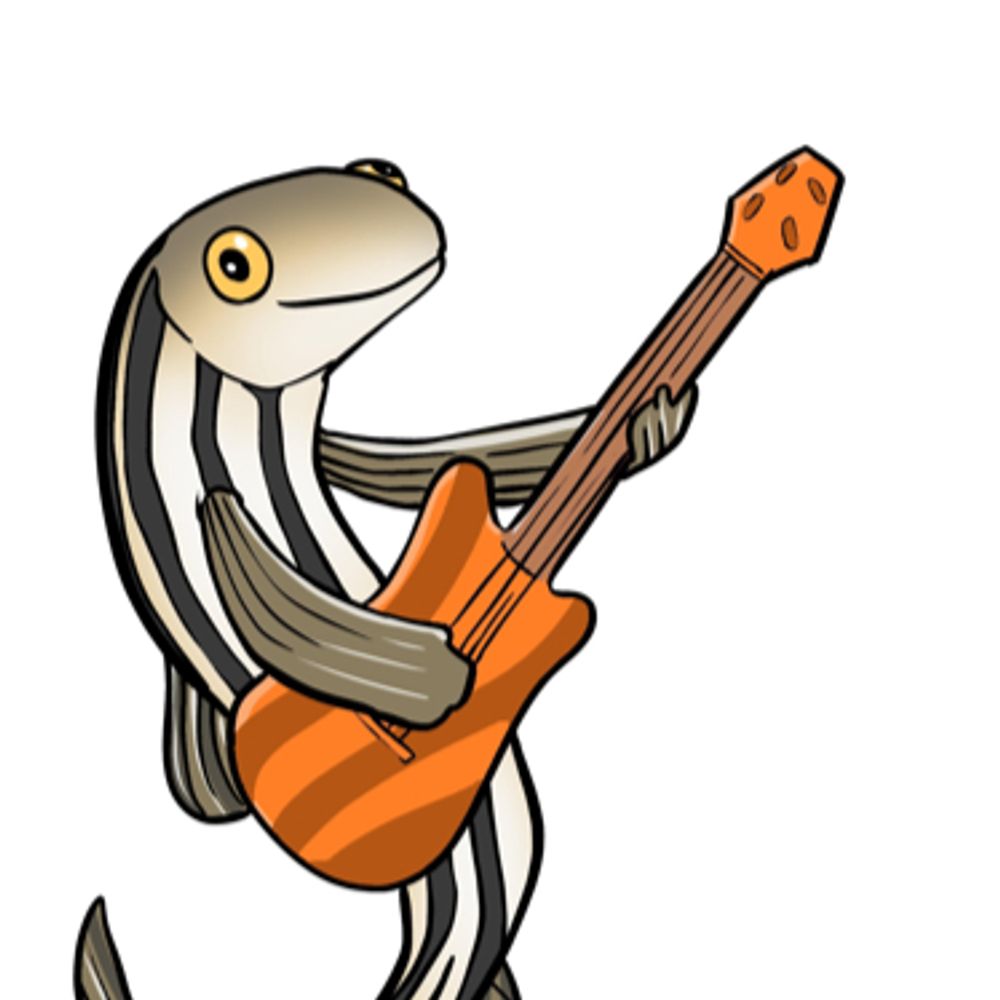 Zebrafish Rock!