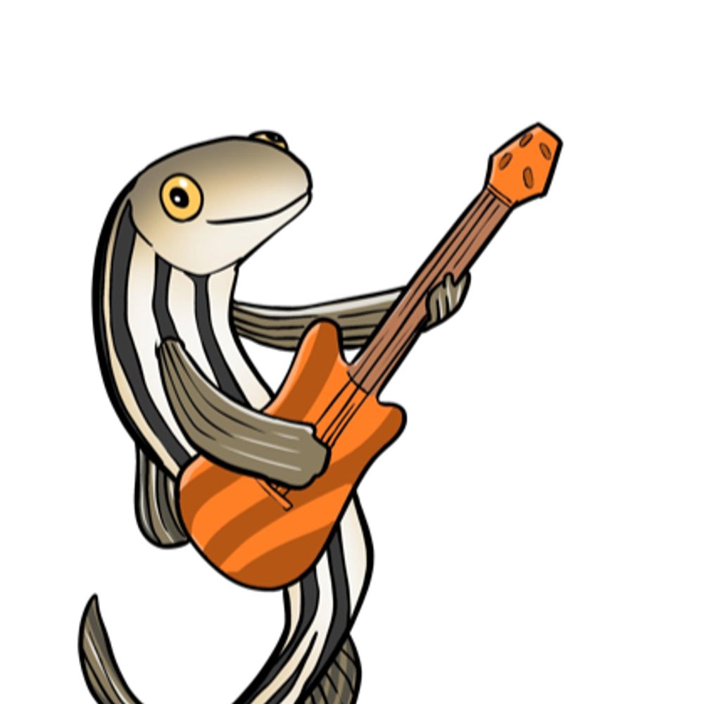 Profile picture zebrafishrock.bsky.social