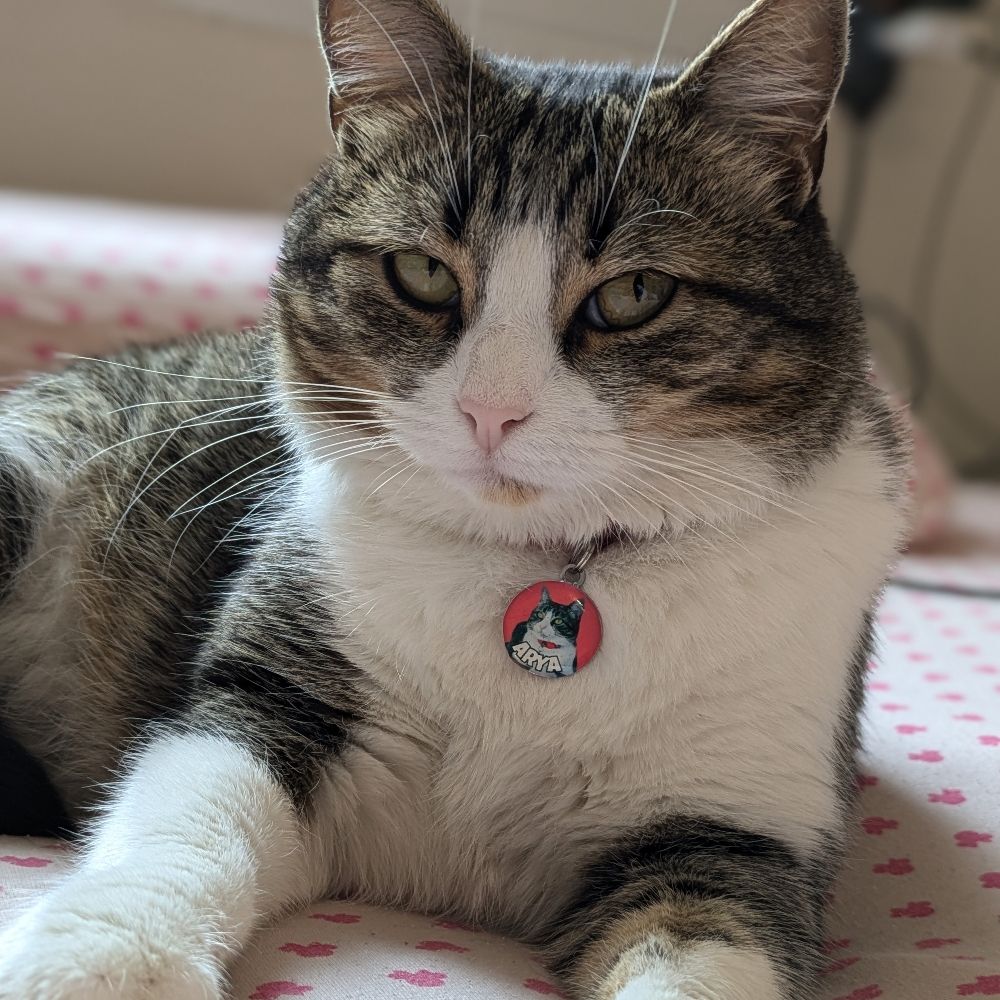 Arya