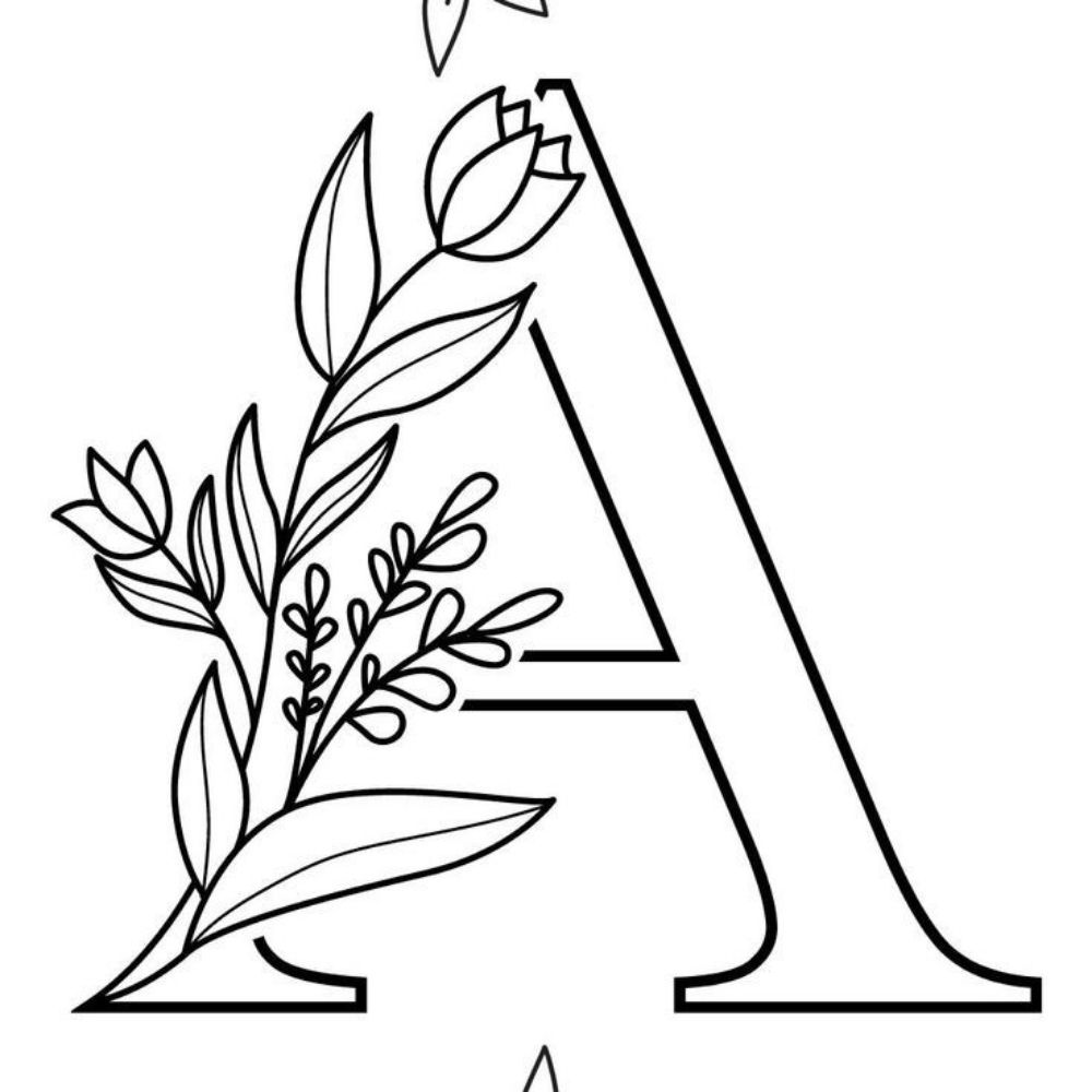 Alba 