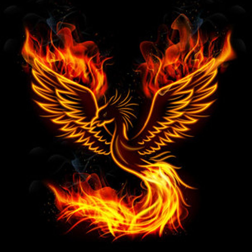 Squaredphoenix