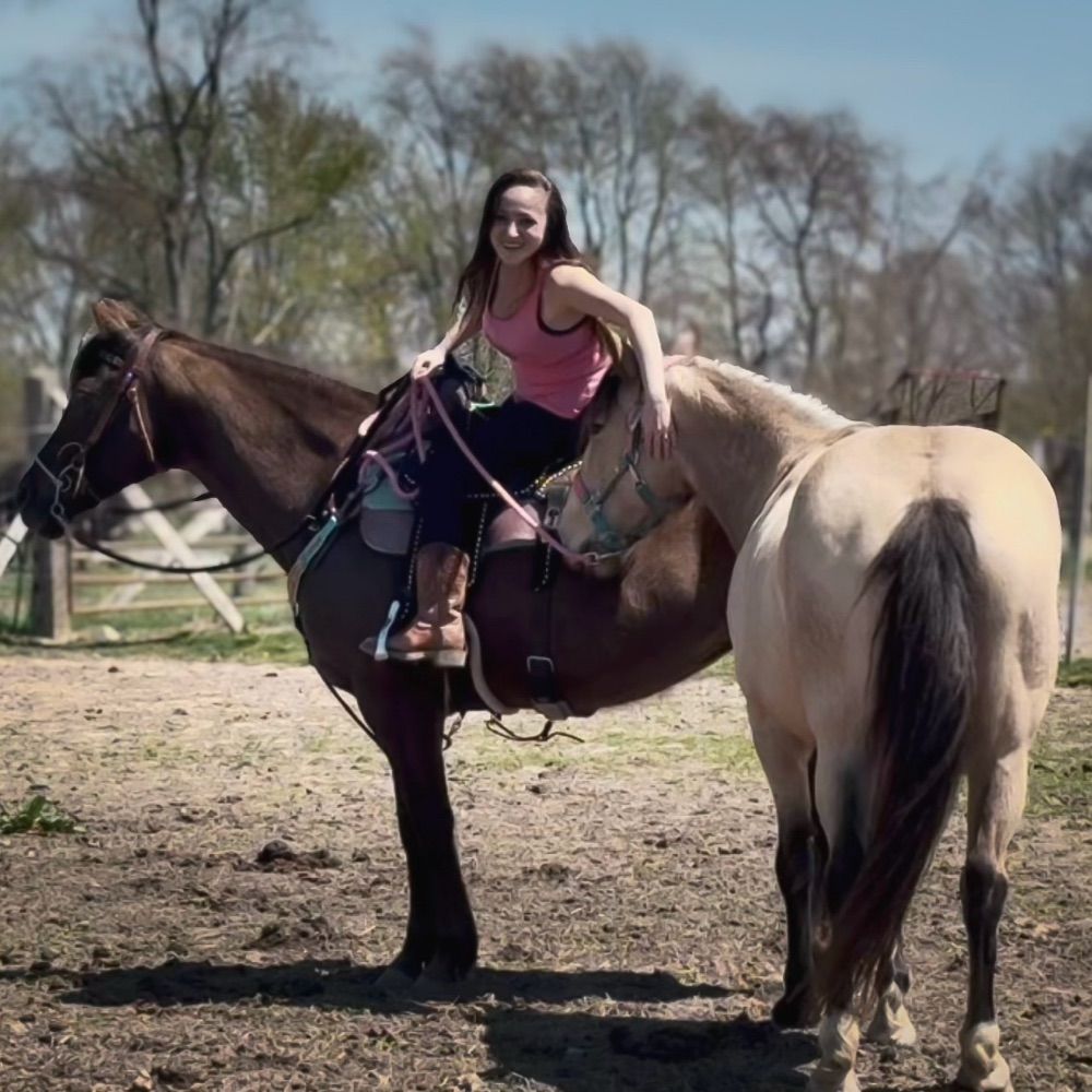 imma tired equestrian~ meandering