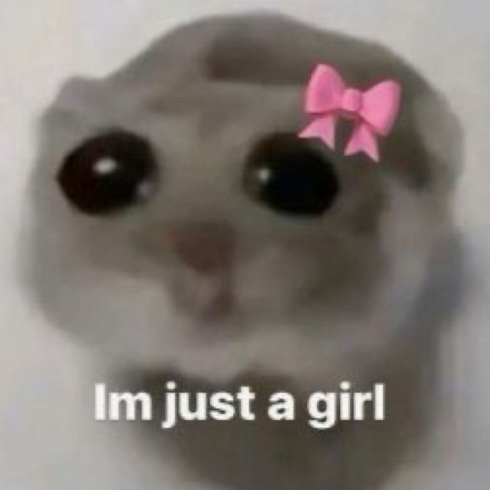 mis 