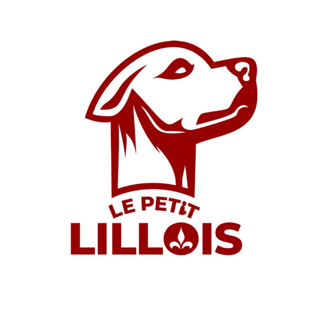Le Petit Lillois - Site web