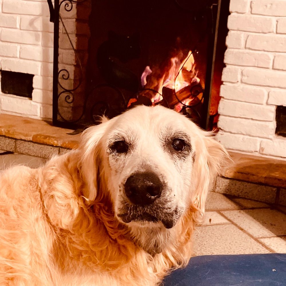 GORDO