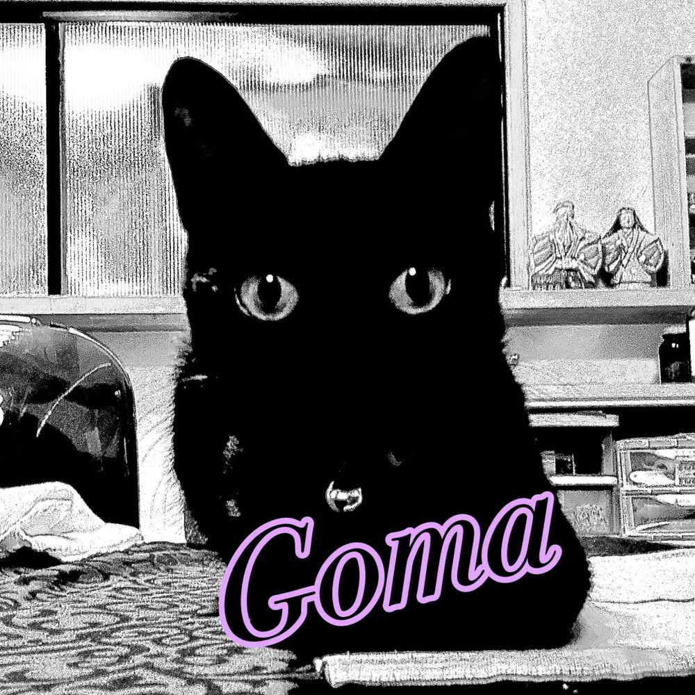 TAKATOMI🐈‍⬛