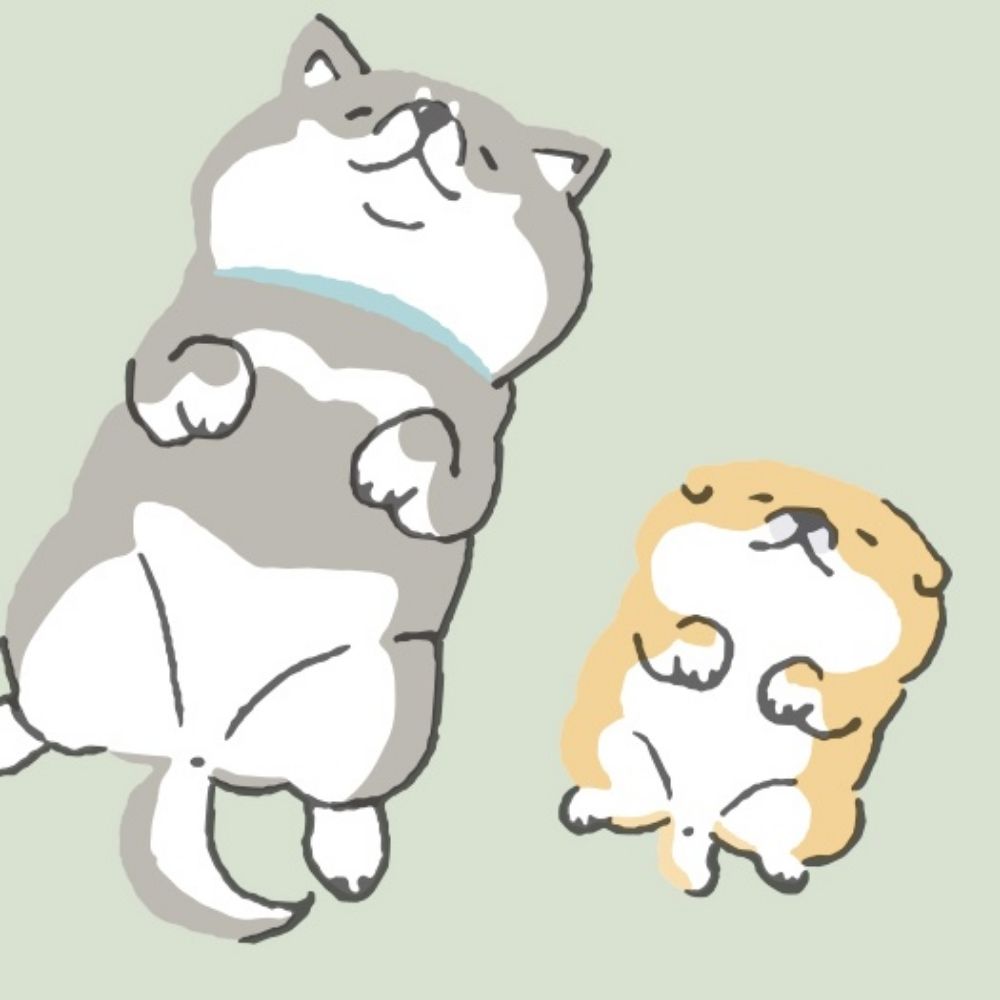 バウ