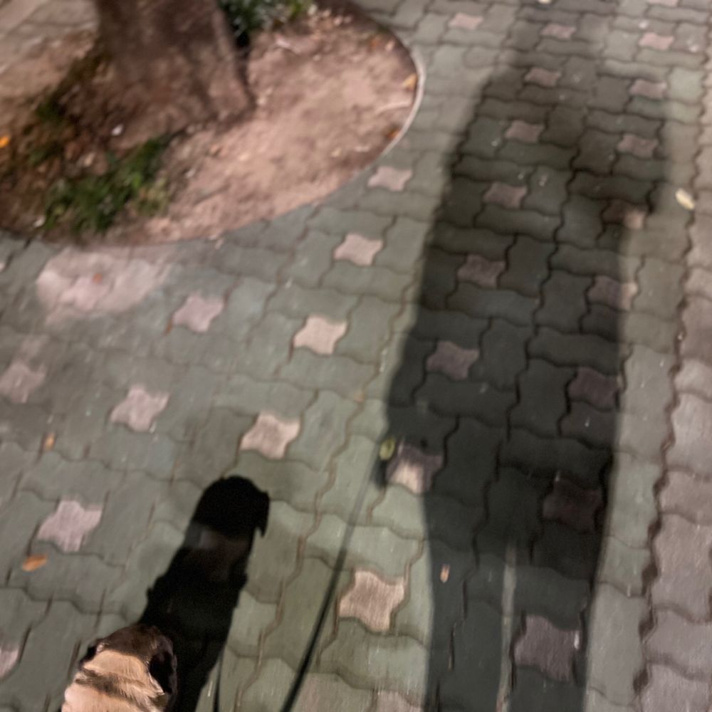 산그림자 