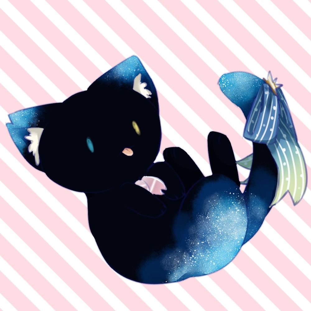 星猫てまり🐾