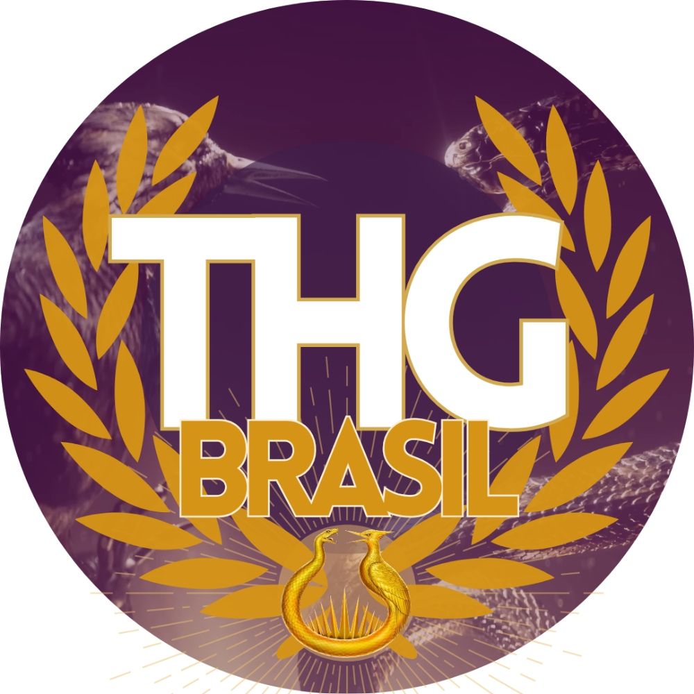 THG Brasil ☀️ AMANHECER NA COLHEITA