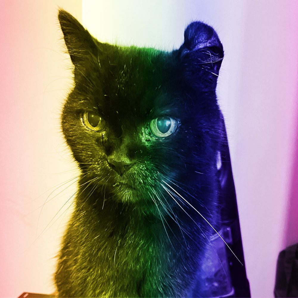ElphieMcDork