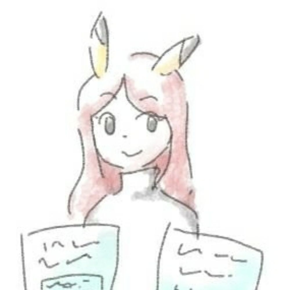 개발사장