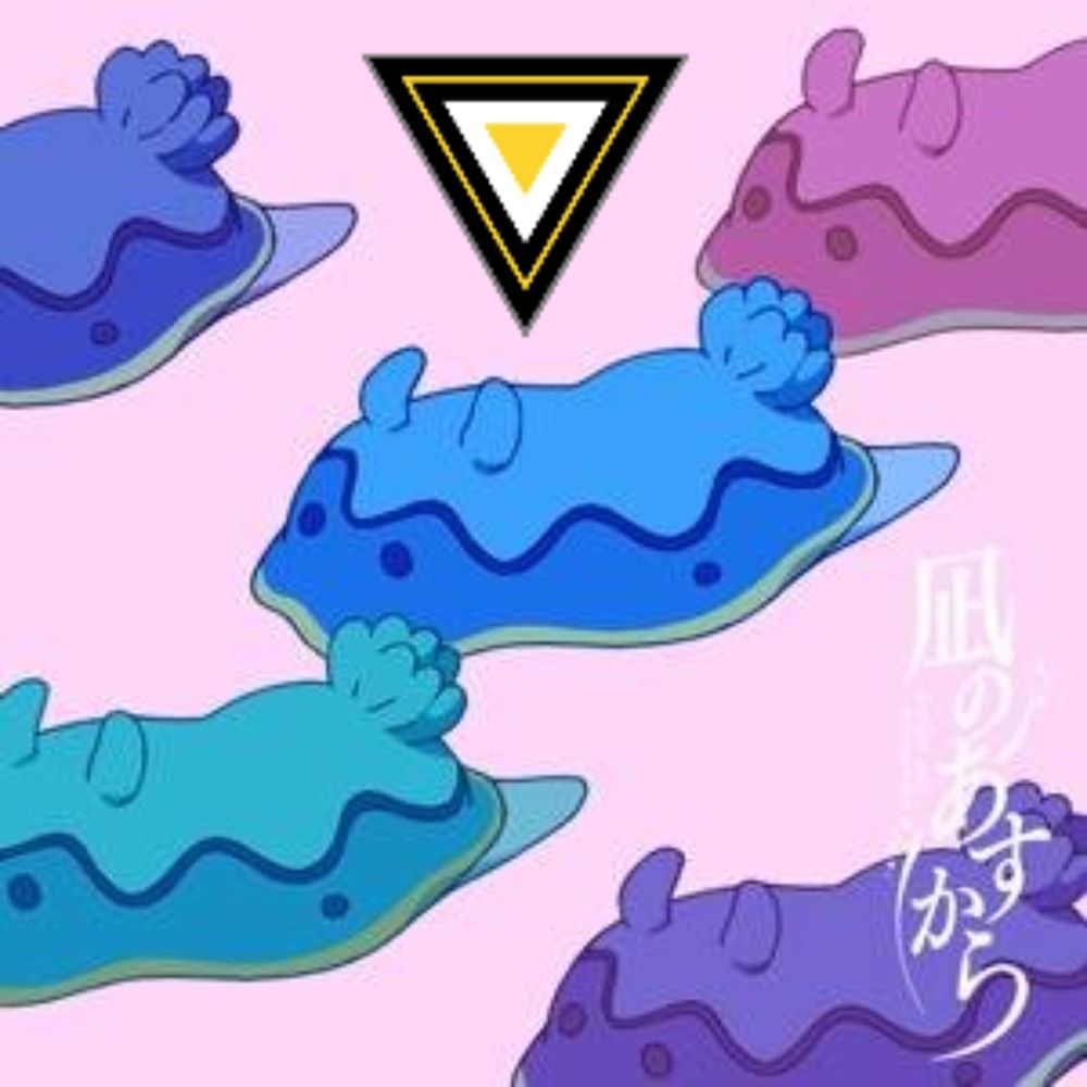 タク@暇人（仮）