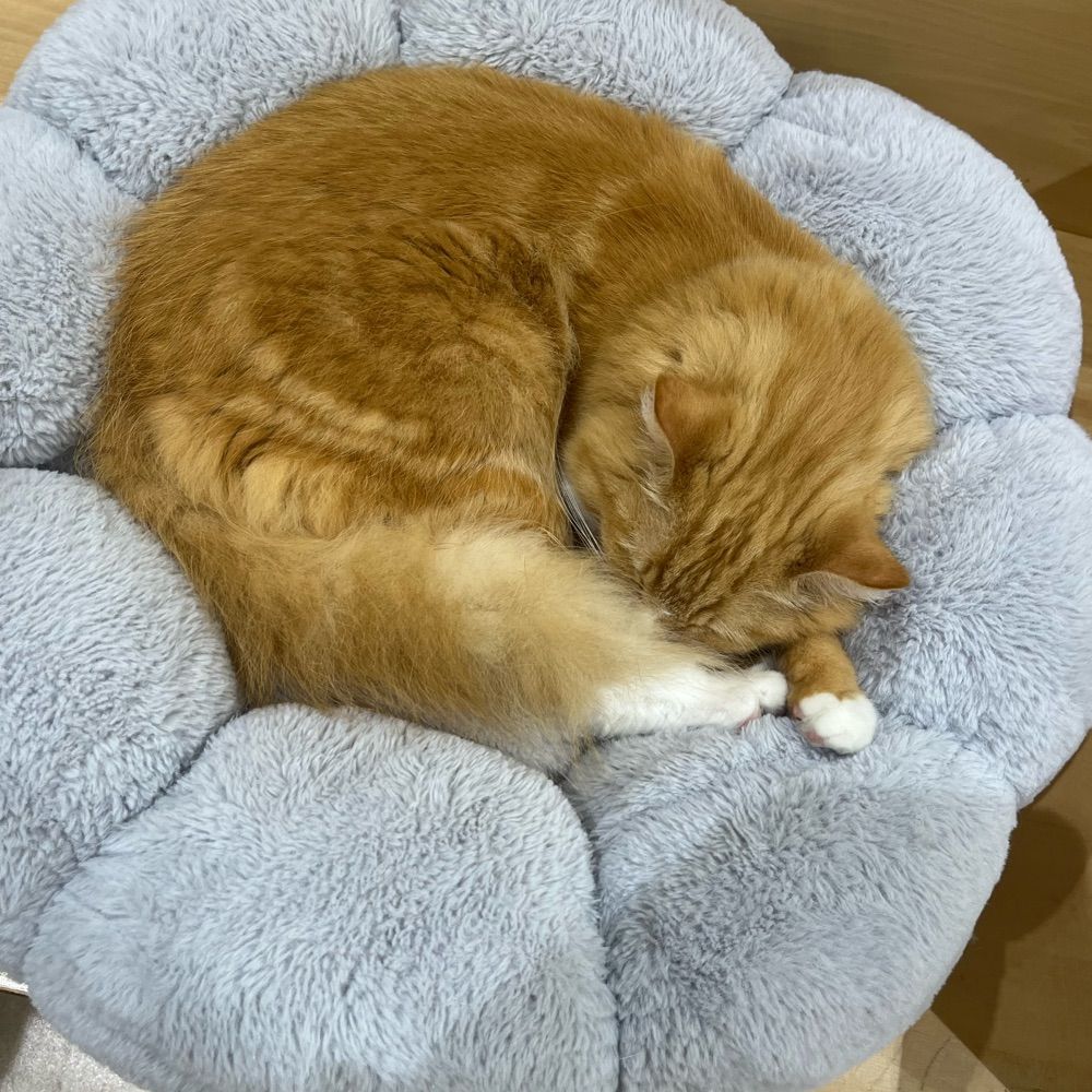 ユッケ