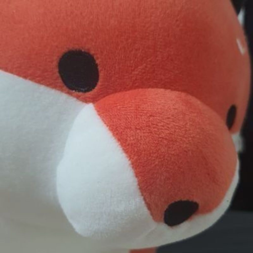 가을🦊