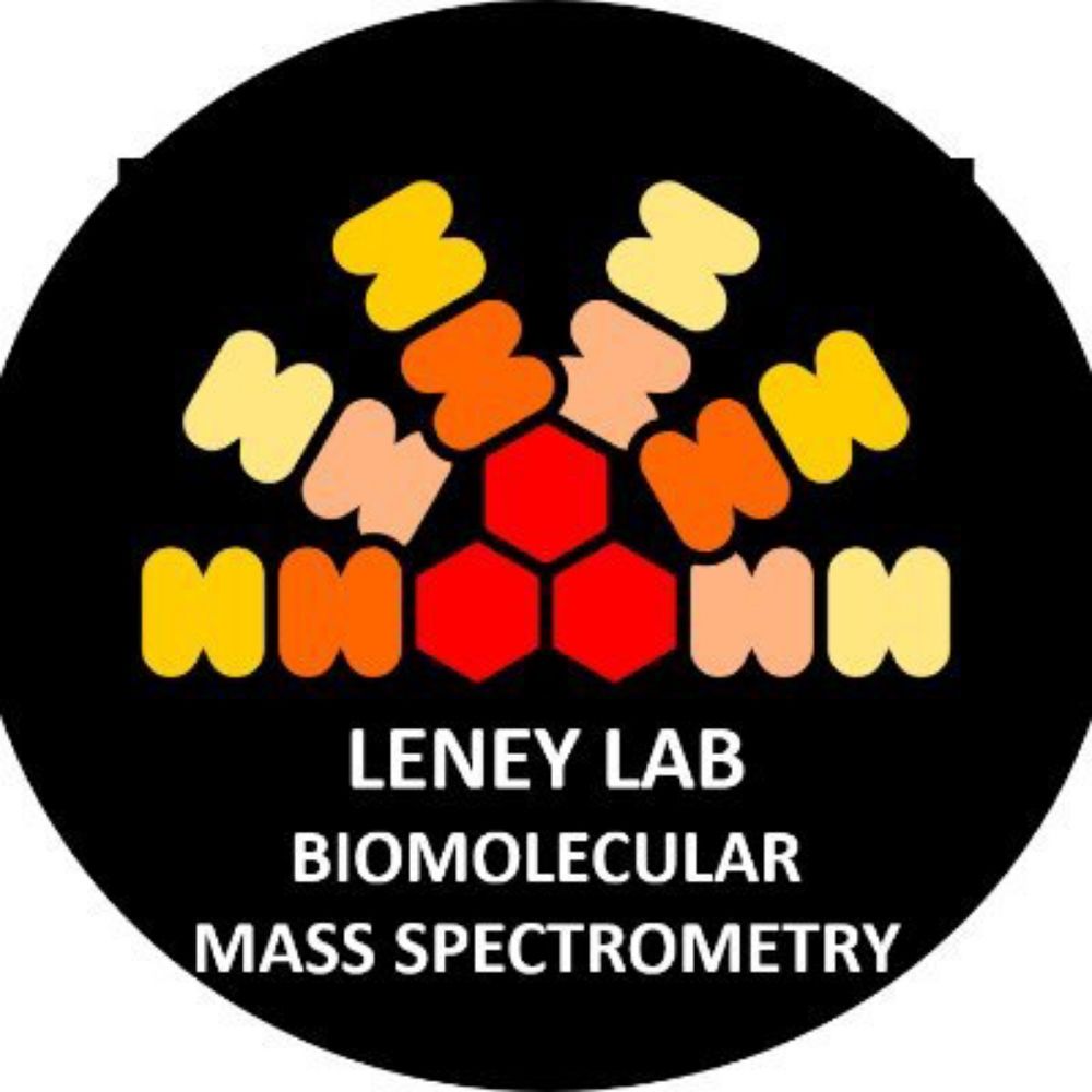 Leney MS group