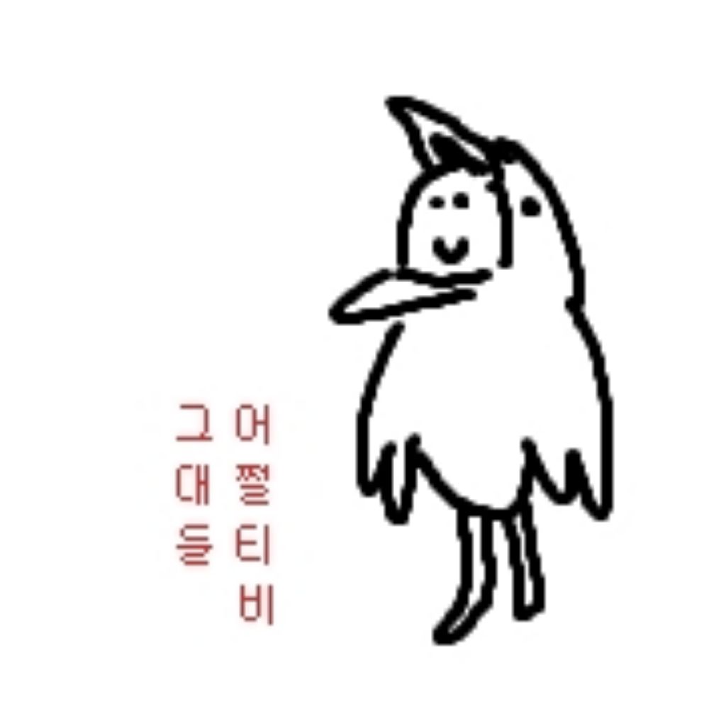 버덕쬬