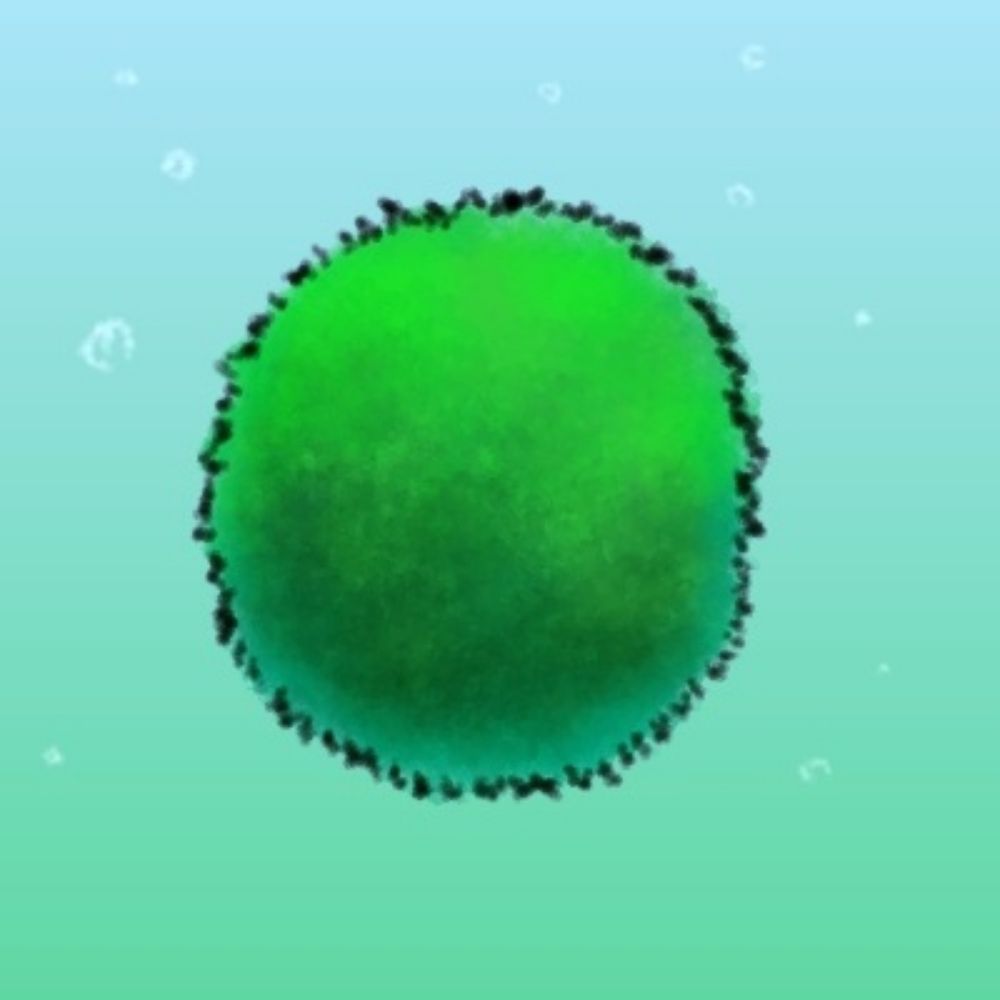 marimo🌱