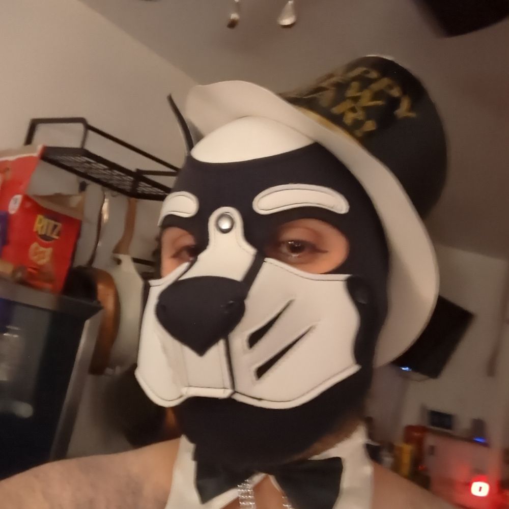 PupEclipse