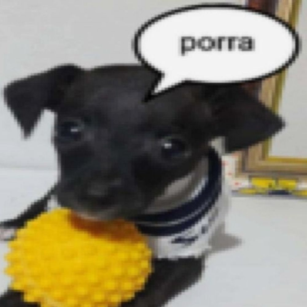 Tolu