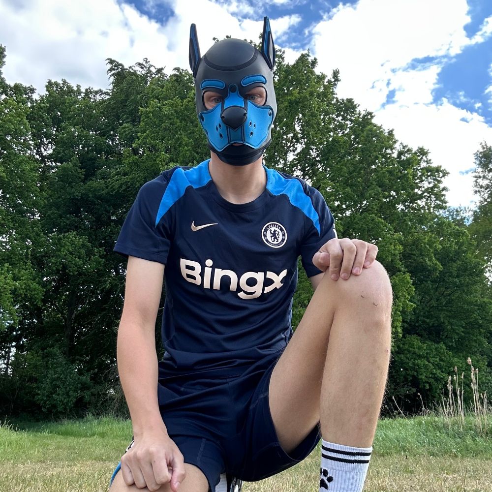 Puppy_sparky21 🔜 Folsom Berlin