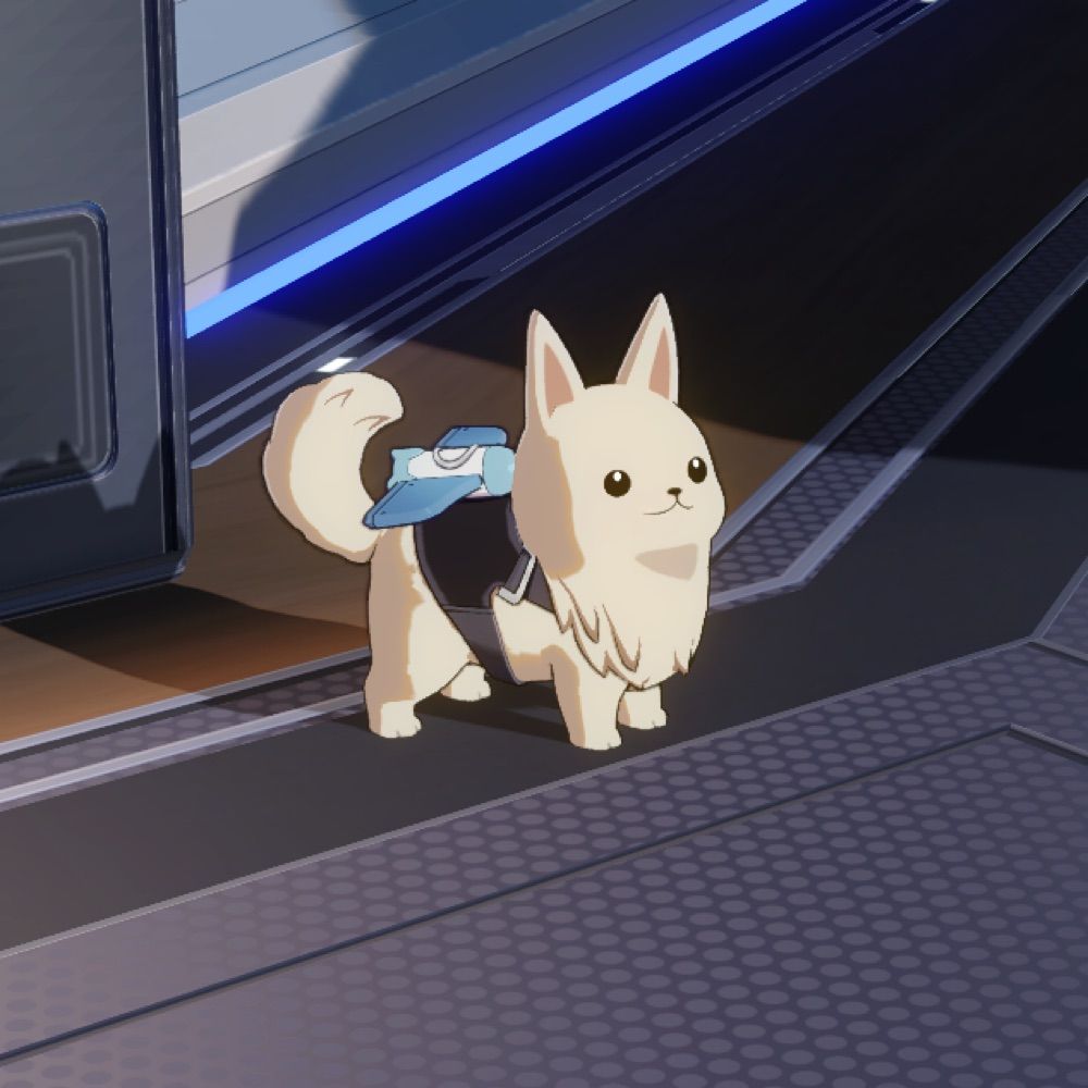 もちもち