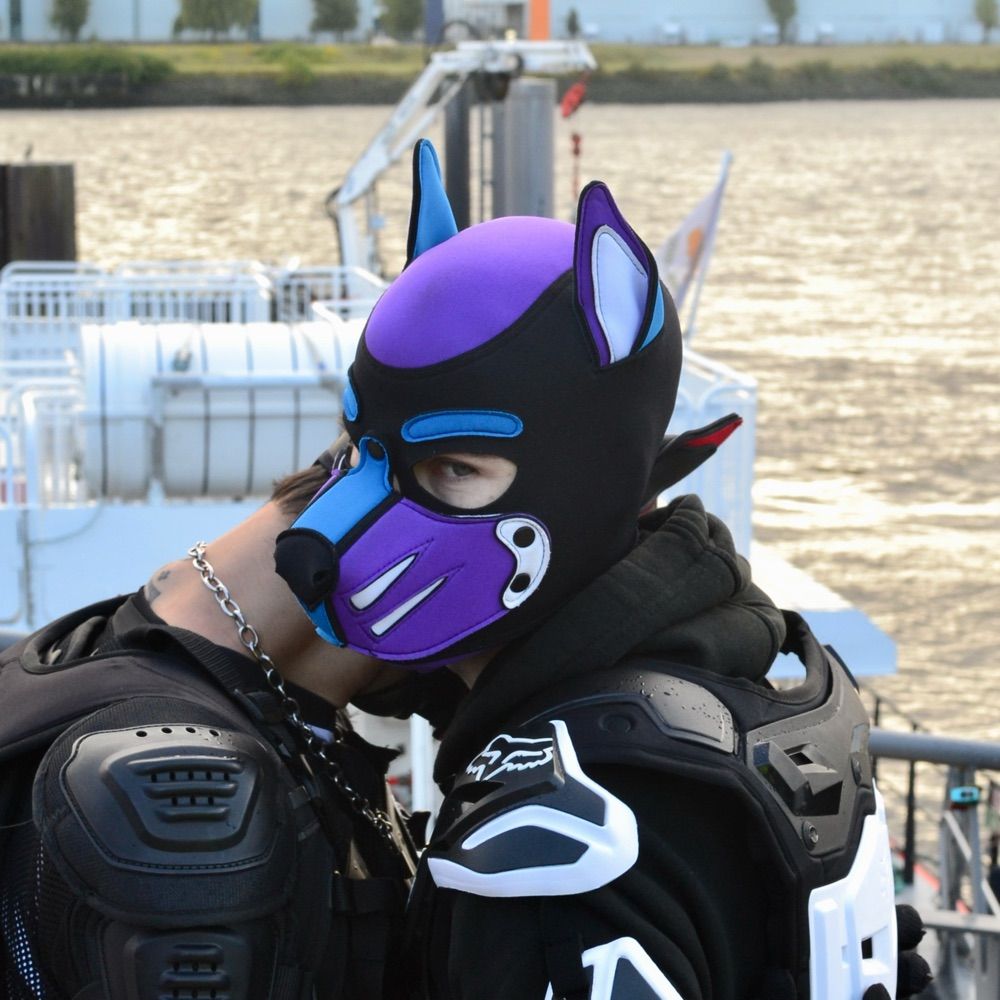 Pup Xander 🔜 MOG Soundwaves