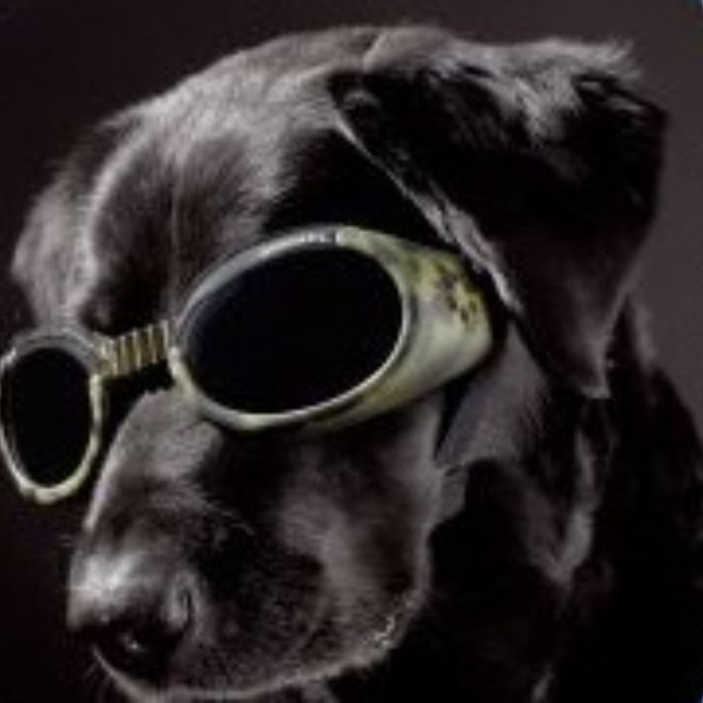 ltrain0311.bsky.social profile picture