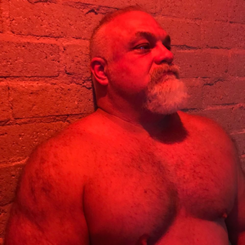 GreyMuscleBear